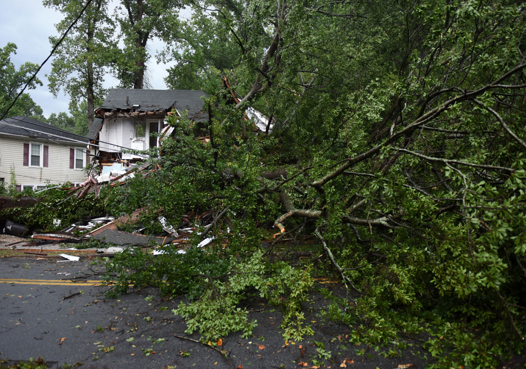 Tree falls on Queen Street house